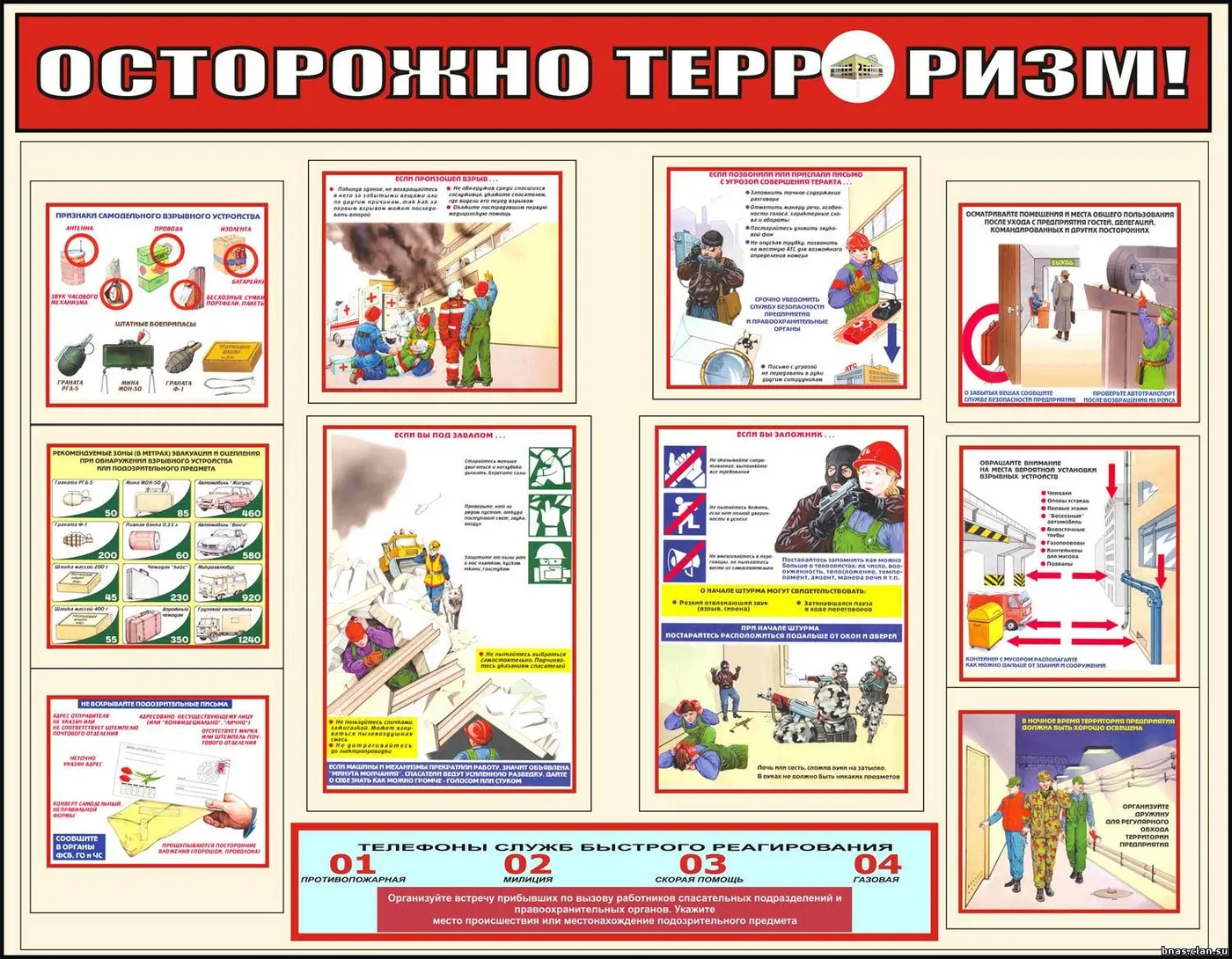 Информационные плакаты и стенды для школ и др. учреждений, изображение 2
