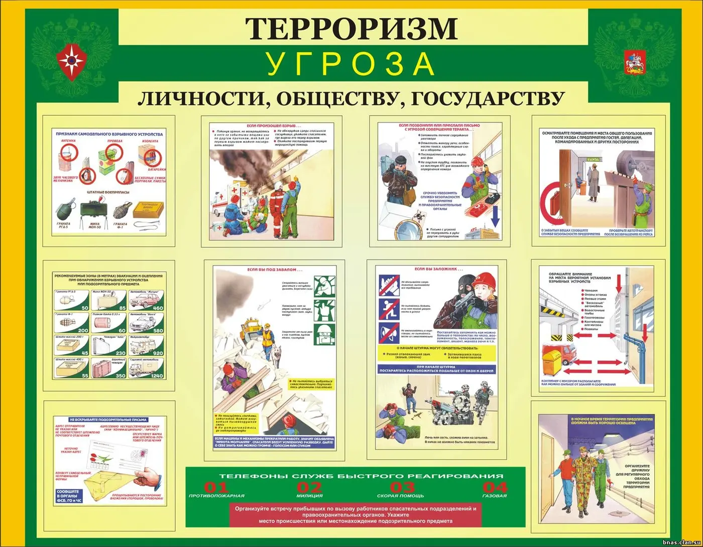 Информационные плакаты и стенды для школ и др. учреждений, изображение 3